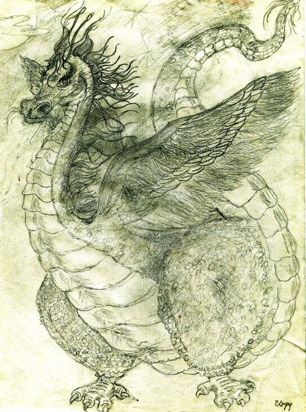 Doodle Dragon