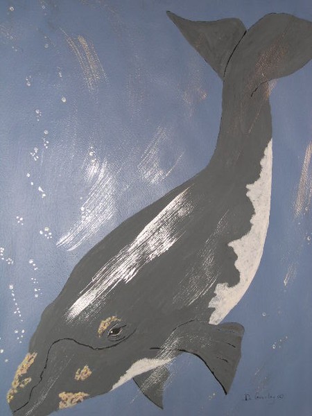 The Right Whale