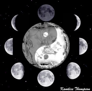 Moon Phases Graphic