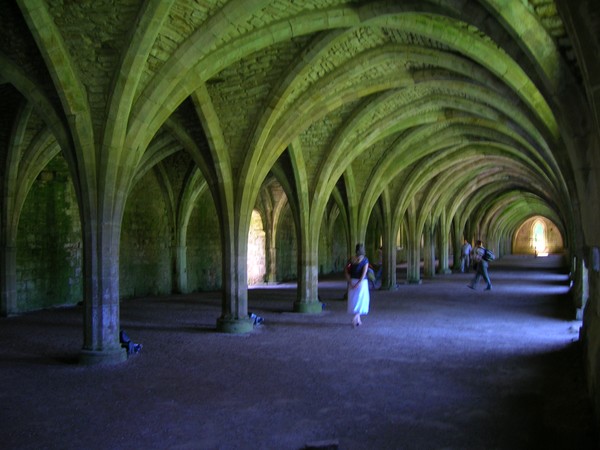 Light in the Abbey