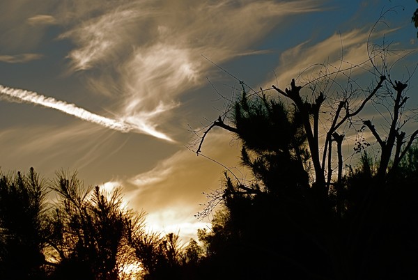 Skyscape at Sundown