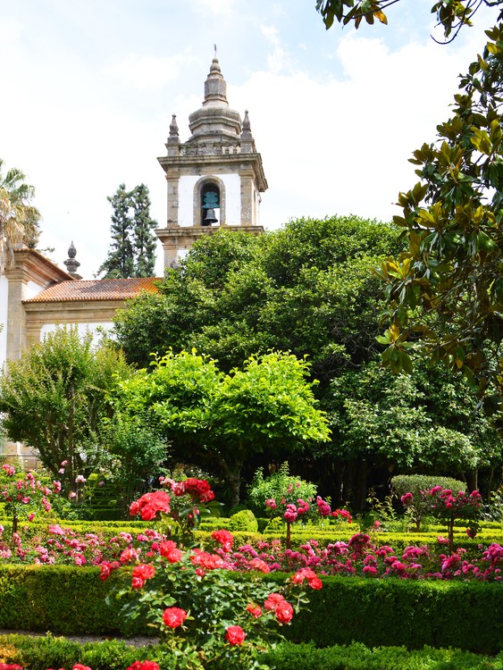 Roses and bell tower, Portugal 