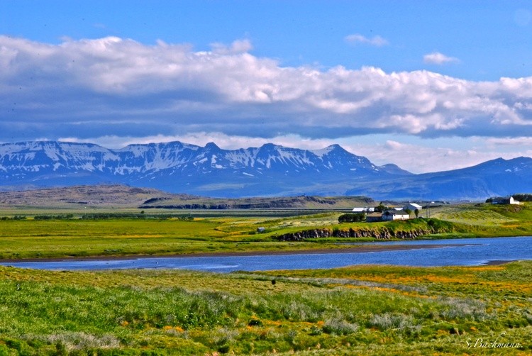 Borgarfjörður Iceland 