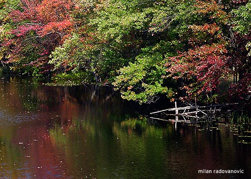 Salmon River, near Kingston Ontario