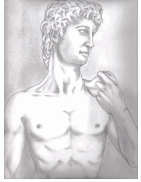 Michelangelo's DAVID STUDY