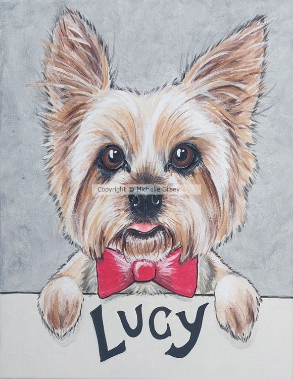 Lucy the Yorkie 