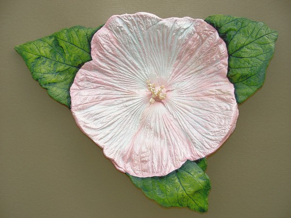 Swamp Mallow