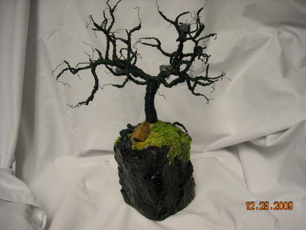 Oak tree #3 on Coal