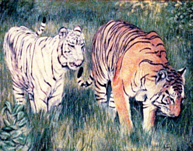 Tigers Prowl