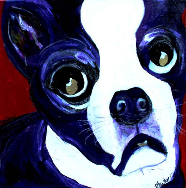 UntitledBoston Terrier- Lucy