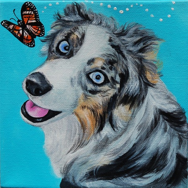 Jackson Blue Merle pet painting