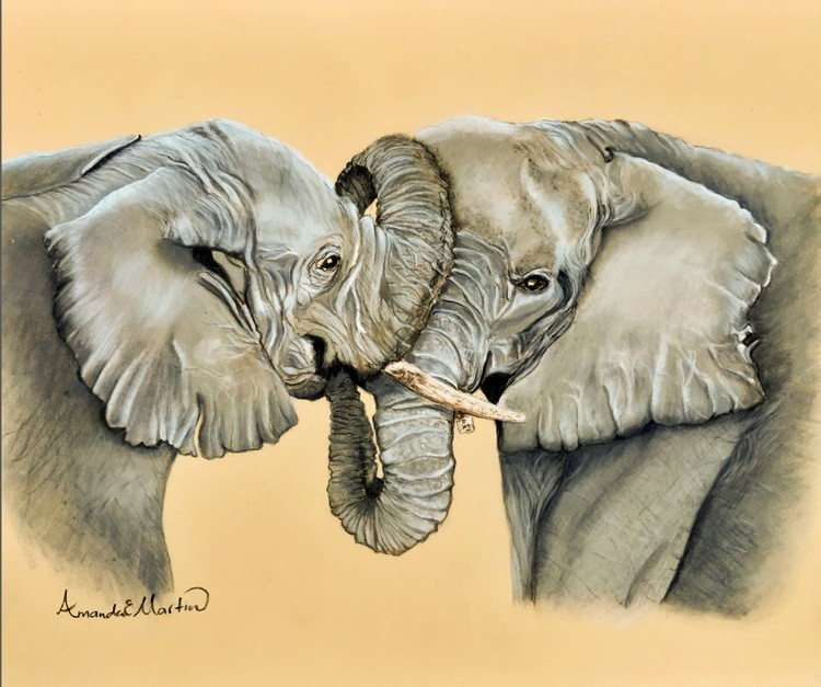 Elephants Greeting