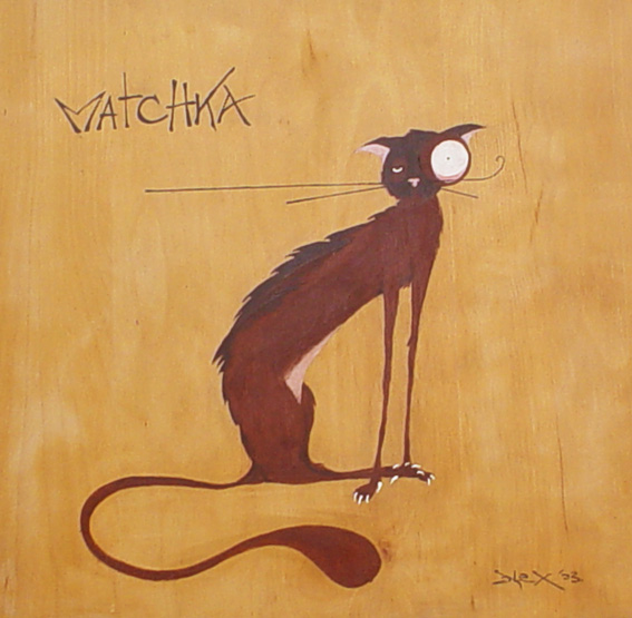 matchka-the cat