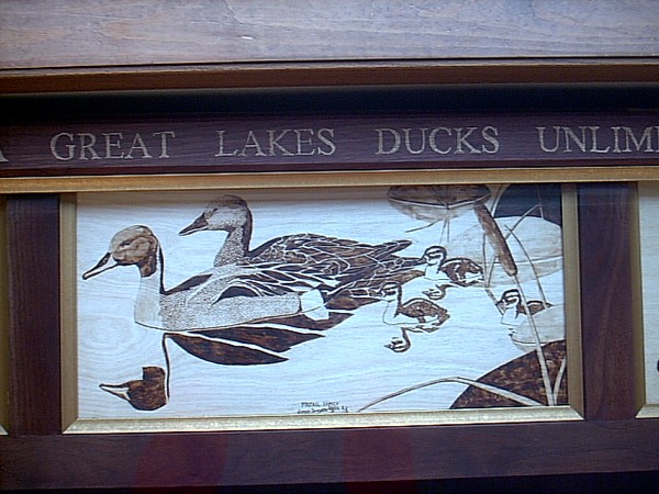 Ducks Unlimited Gun Case Closeup