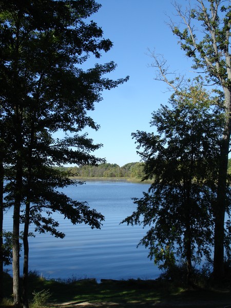 Stoney Creek, looking at the early autumn water