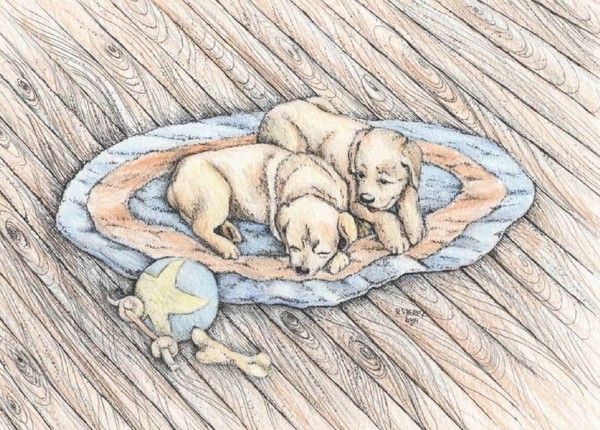 Puppies on a rug