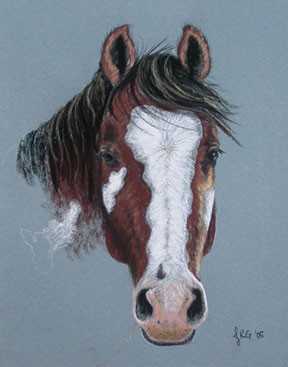 Original Paint Horse pastel painting
