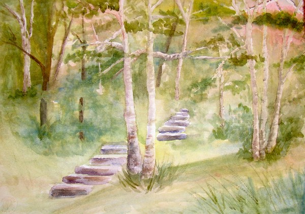 steps in the woods
