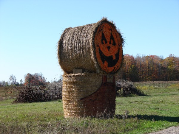 Halloween Hay