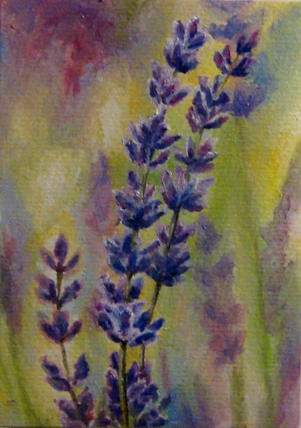 lavender postcard