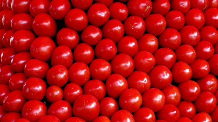 Tomatoes 1366x768