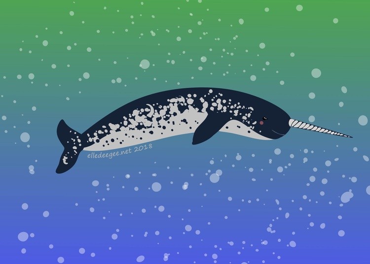 narwhal5e