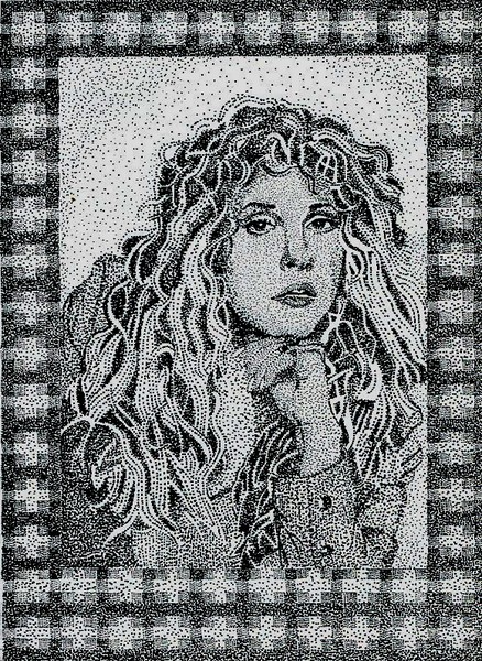 Portrait of Stevie Nicks