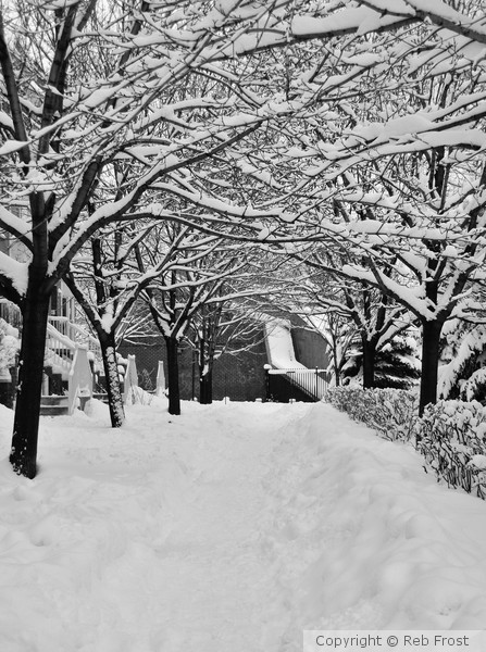 Verdun in the Snow