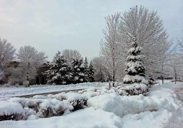 Winter in Toronto #2