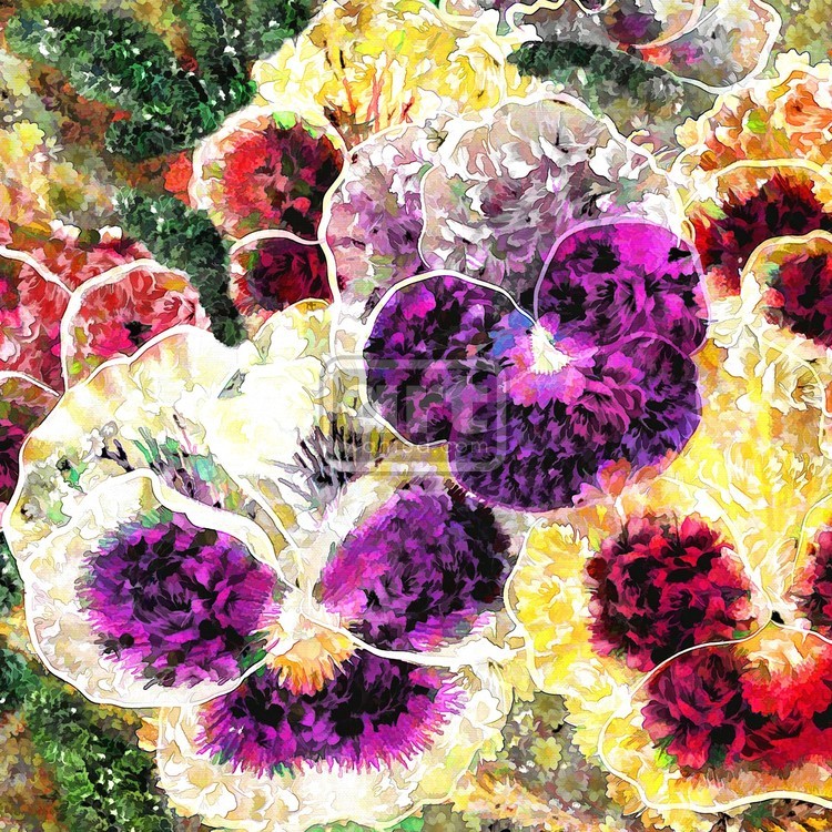 Digital Flowers