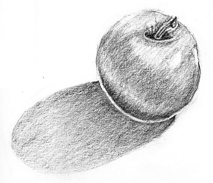 Apple Graphite Lines Drawing