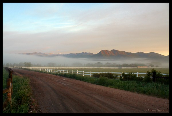 Morning Mist