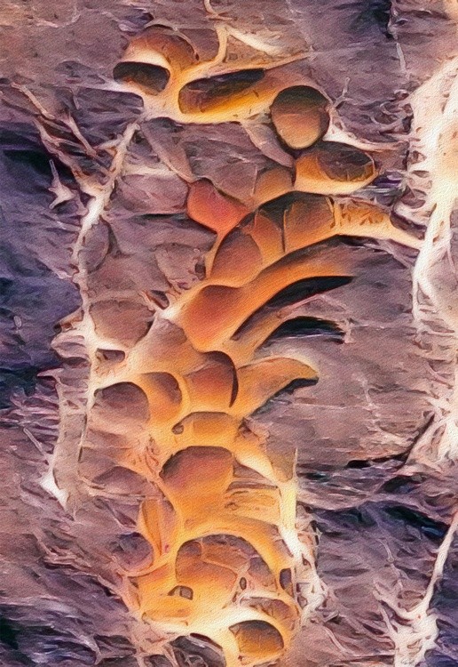 Millions Of Years Ago