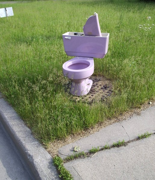 I dunno, it's just some purple toilet