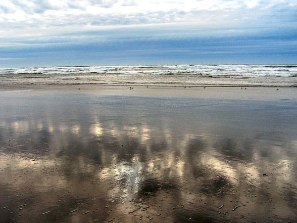 Reflections in the Sand