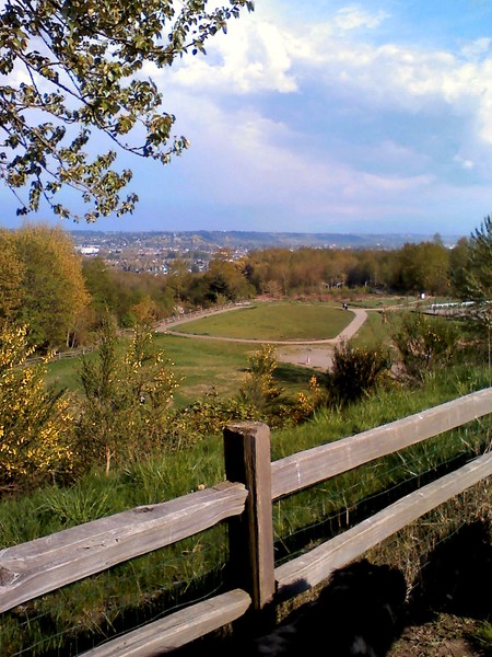 Grandview Dog Park