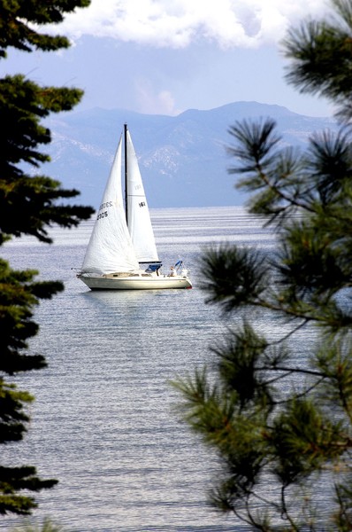 Tahoe Sailboat