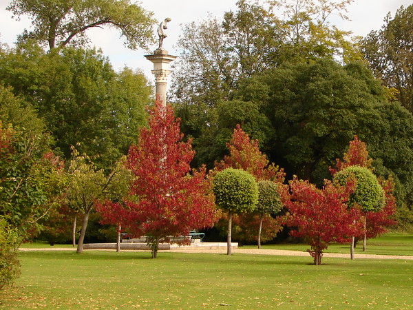 Red trees@Winton House