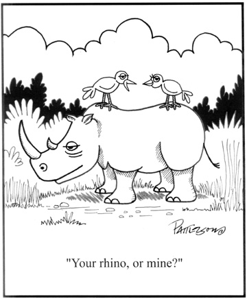 Your rhino, or mine?