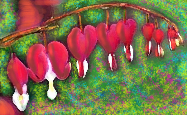 BLEEDING HEARTS copyright by Miguel Forbus
