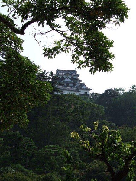 Castle in Biwako