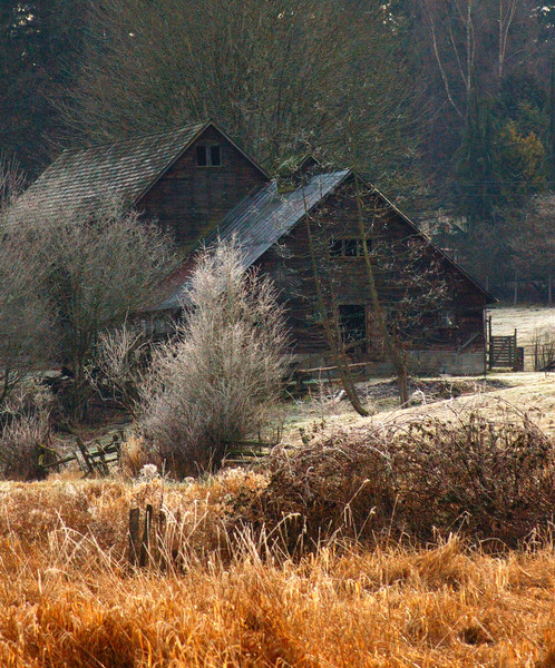 Frozen farm