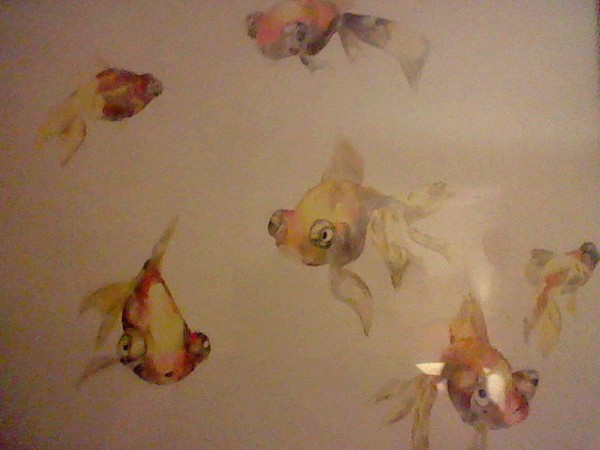 Goldfish