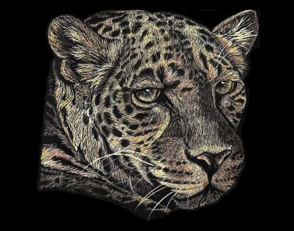 Jaguar Sketch