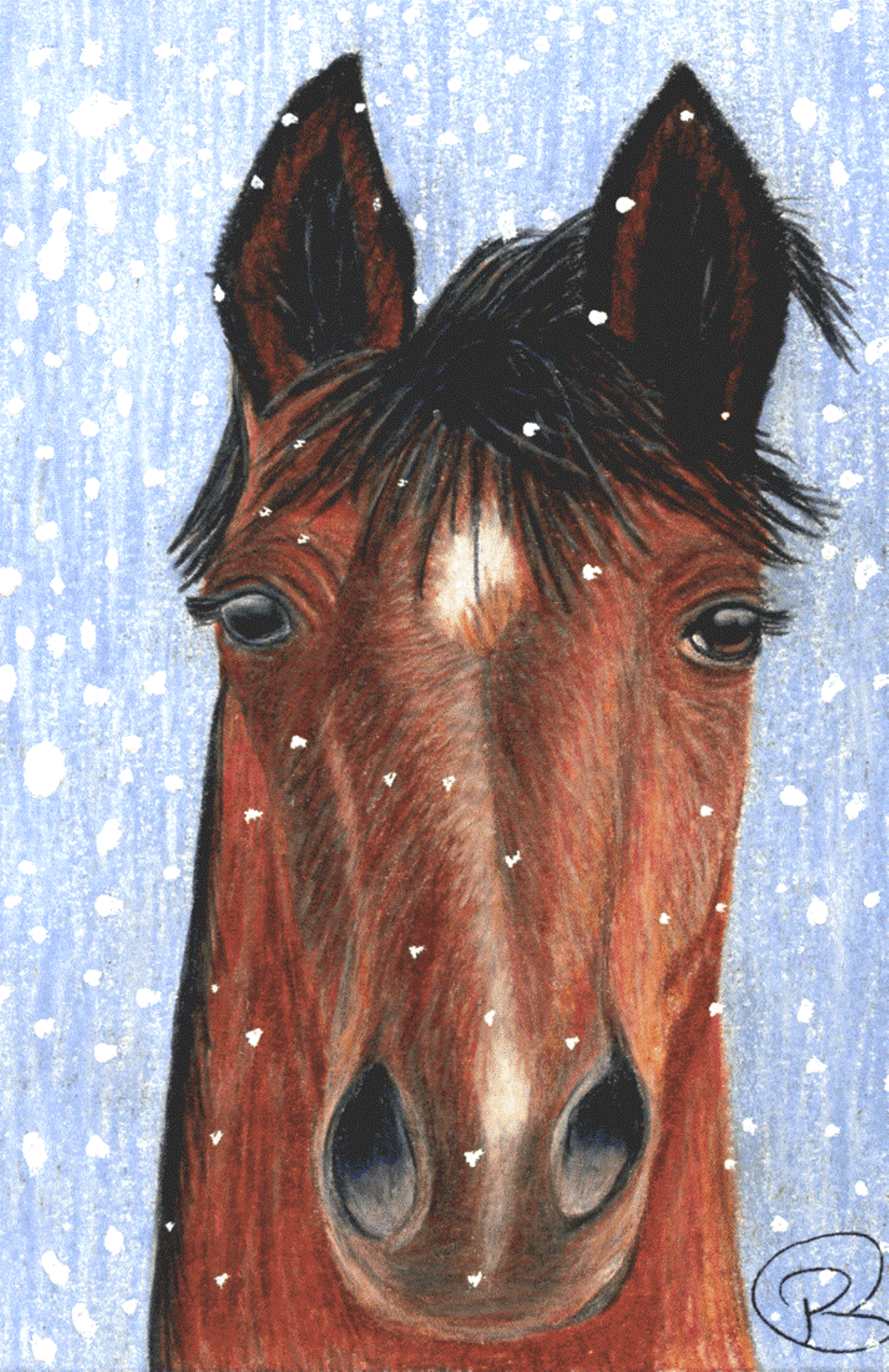 Horse In Snow 