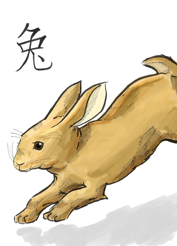 Chinese Zodiac- Rabbit