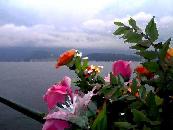 flowers on Lake Como
