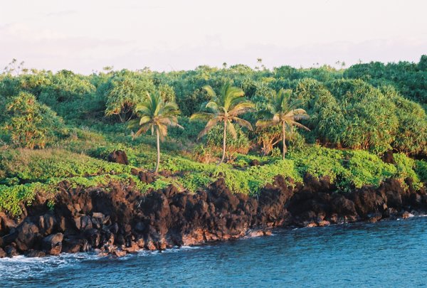 Maui Coast line