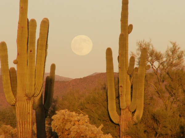 Superstition Mountains