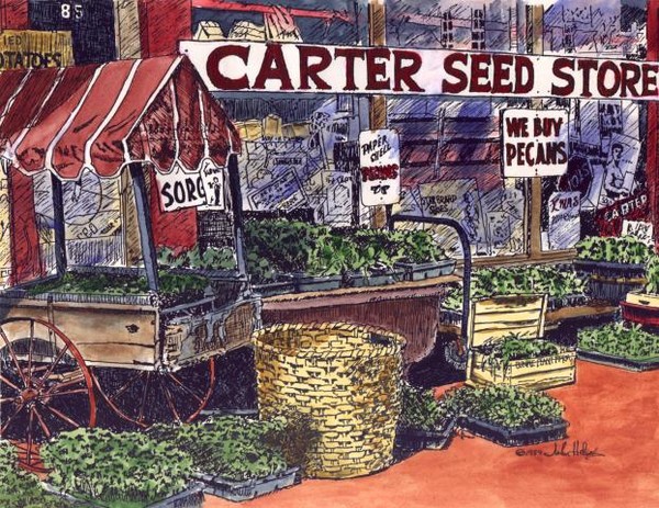 Carter's Seed Company